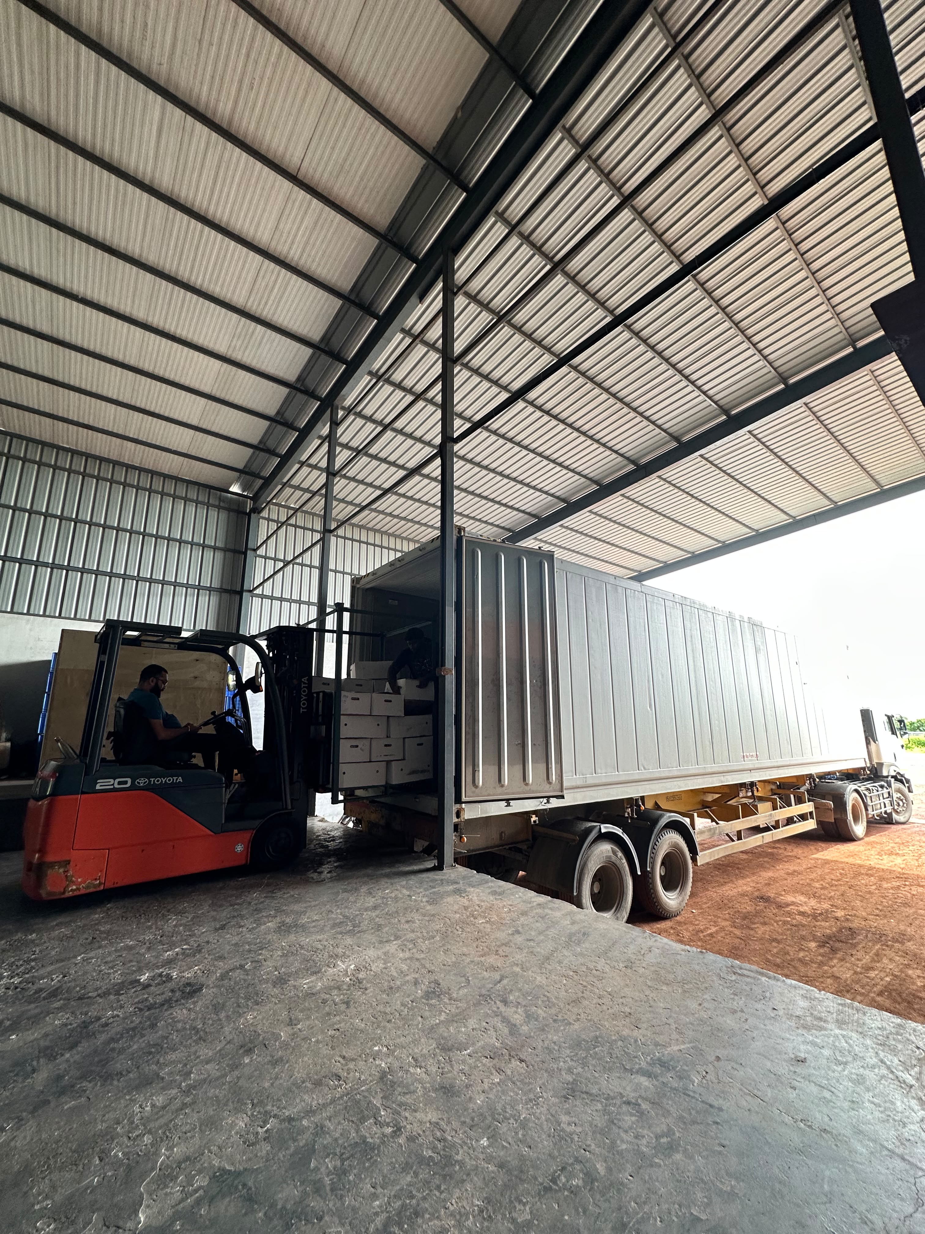 Sifting and selection under strict hygienic cleanroom conditions