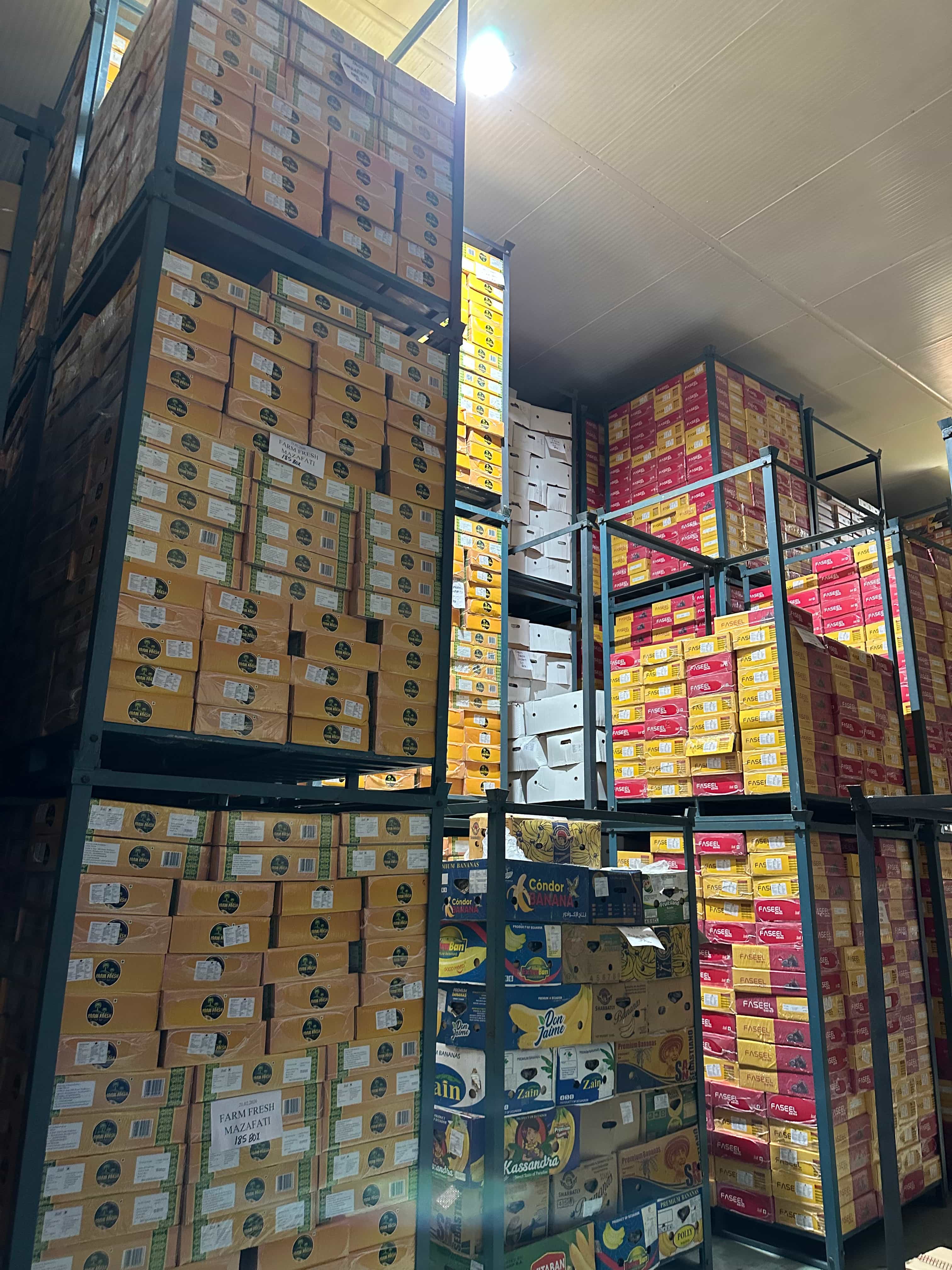 Wholesale dates catalog facility